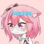 Kucing APK Download V2.5.1.6 (Video Streaming) Free For Android
