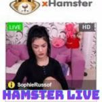 Hamster Live Download APK [Latest Version] V1.2 Free For Android